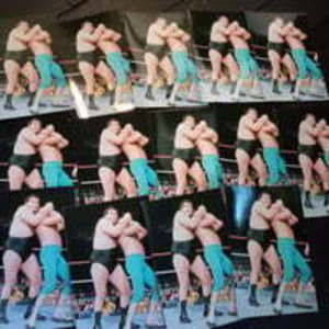 Andre the giant wrestler picture lot